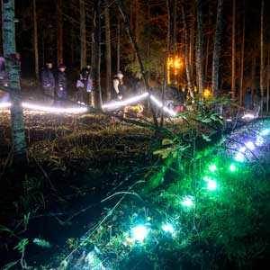 Valopolku 2022, Tohloppi, Tampere - kuva valopolulta 01