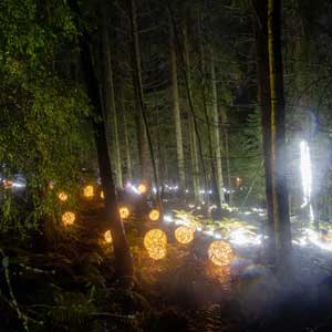 Valopolku 2022, Tohloppi, Tampere - kuva valopolulta 02