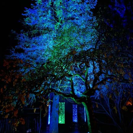 Wau mikä takapihatesti! Näitä kahta Jussi Kamusen teosta pääsee pian ihastelemaan Valopolulla! Valopolku 2023, Tohloppi, Tampere