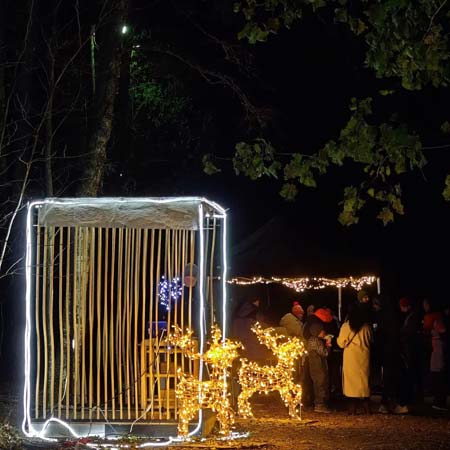 Suuren suuri kiitos kaikille teille jotka vierailitte avajaisviikonlopussa! Valopolku on avoinna vielä ensi viikon ja aukeaa joka päivä tunnin aikaisemmin eli klo 17, tervetuloa! Valopolku 2023, Tohloppi, Tampere